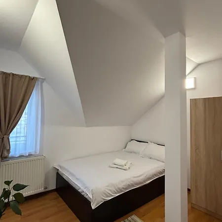 Stefan Apartment Sibiu Esterno foto