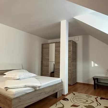 Stefan Apartment Sibiu Esterno foto